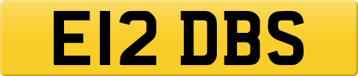 E12DBS