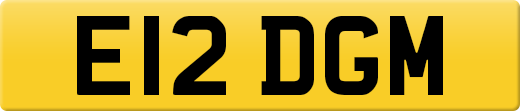 E12DGM