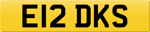 E12DKS