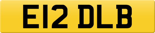 E12DLB