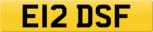 E12DSF