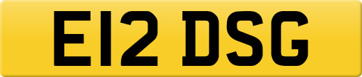 E12DSG