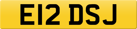 E12DSJ
