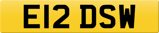 E12DSW