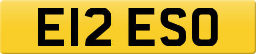E12ESO