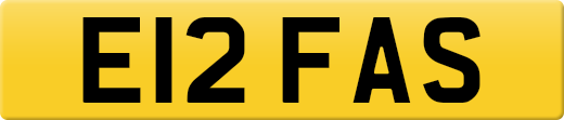 E12FAS