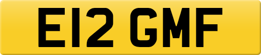 E12GMF