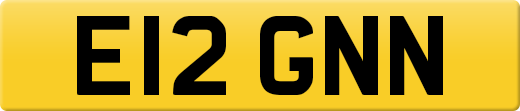 E12GNN