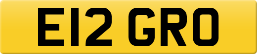 E12GRO