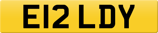 E12LDY