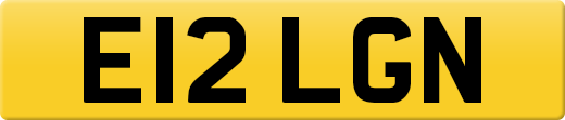 E12LGN