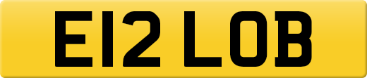 E12LOB