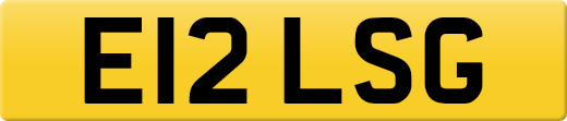 E12LSG