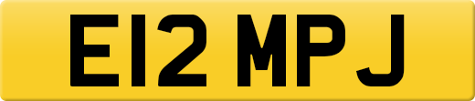 E12MPJ