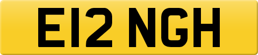 E12NGH