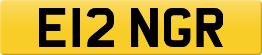 E12NGR