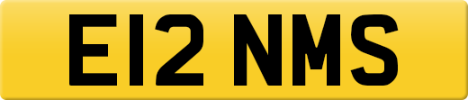 E12NMS