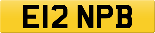E12NPB