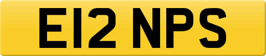 E12NPS