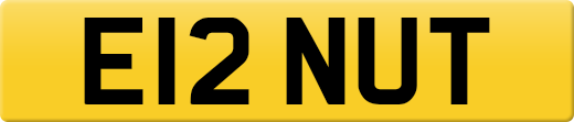 E12NUT