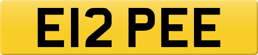 E12PEE