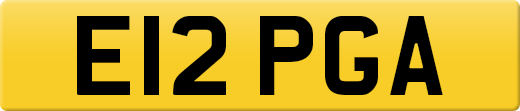 E12PGA