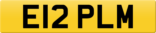 E12PLM