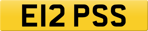 E12PSS