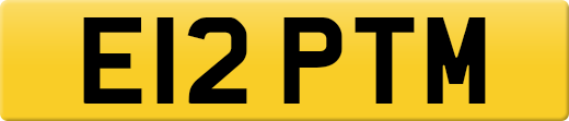 E12PTM