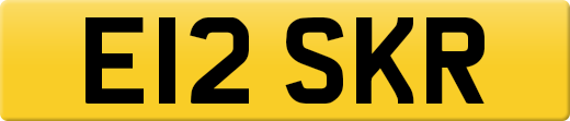 E12SKR