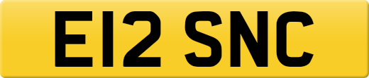 E12SNC