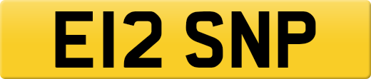 E12SNP