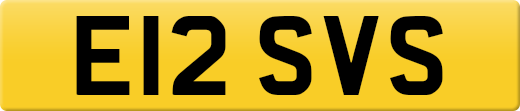 E12SVS