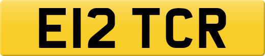 E12TCR