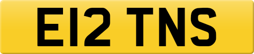 E12TNS