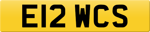 E12WCS