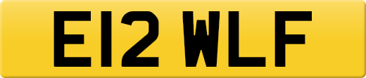 E12WLF