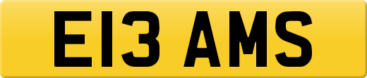E13AMS