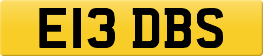 E13DBS