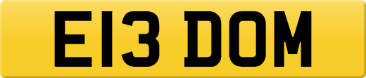 E13DOM