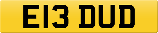 E13DUD