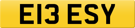 E13ESY