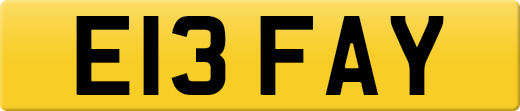 E13FAY