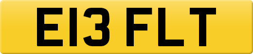 E13FLT