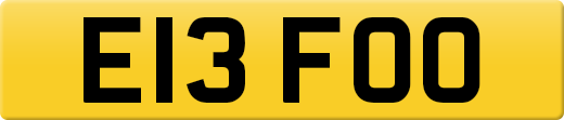 E13FOO