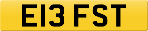 E13FST