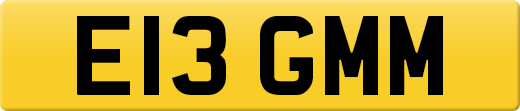 E13GMM