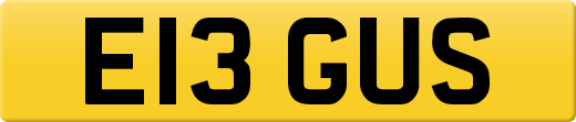 E13GUS