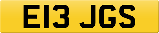 E13JGS