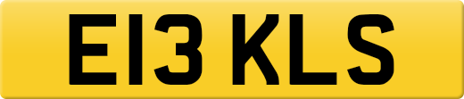 E13KLS